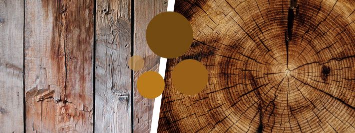 article filiere bois