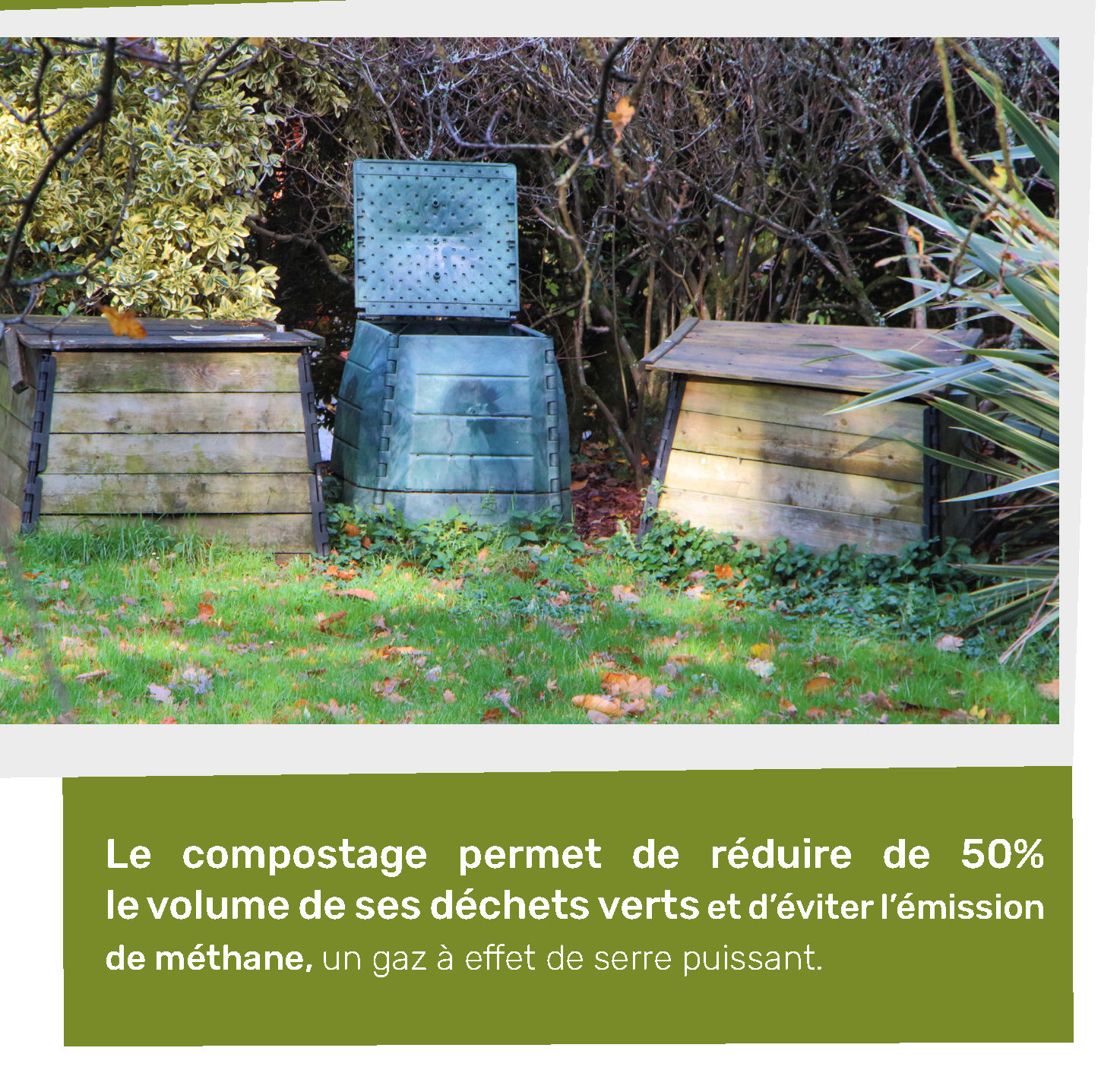 imperatif environnemental vegetaux