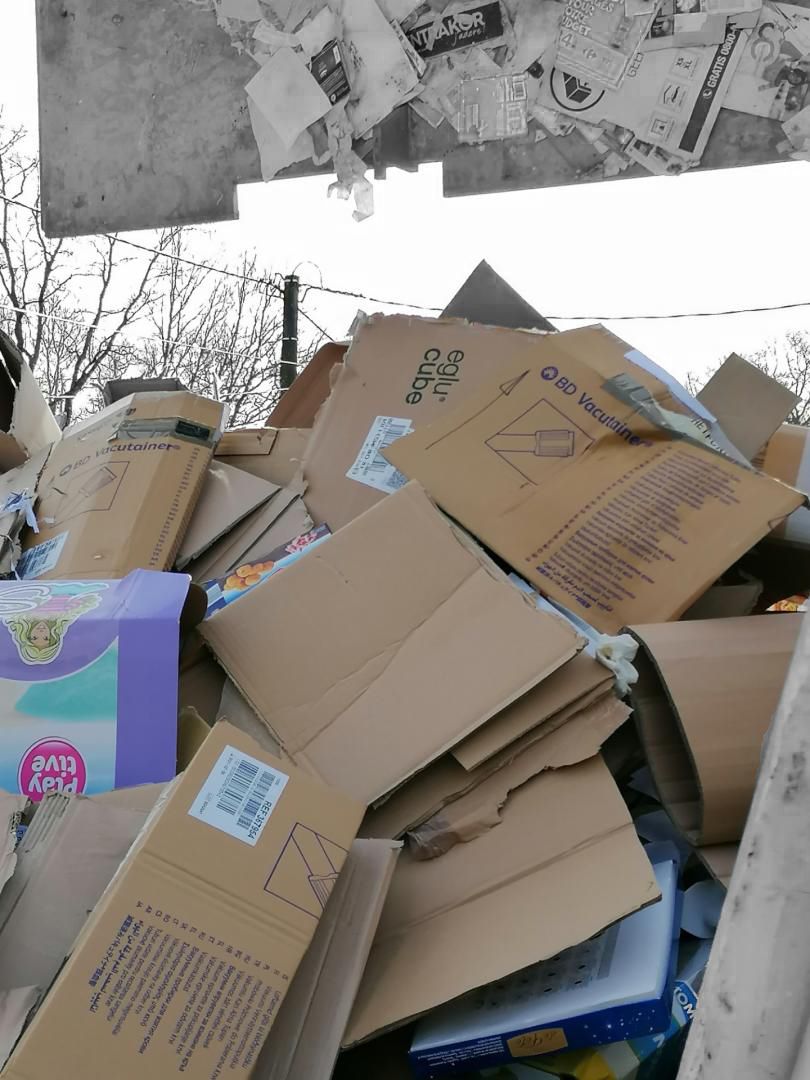 275259123 380816304045731 5955342430896698444 n